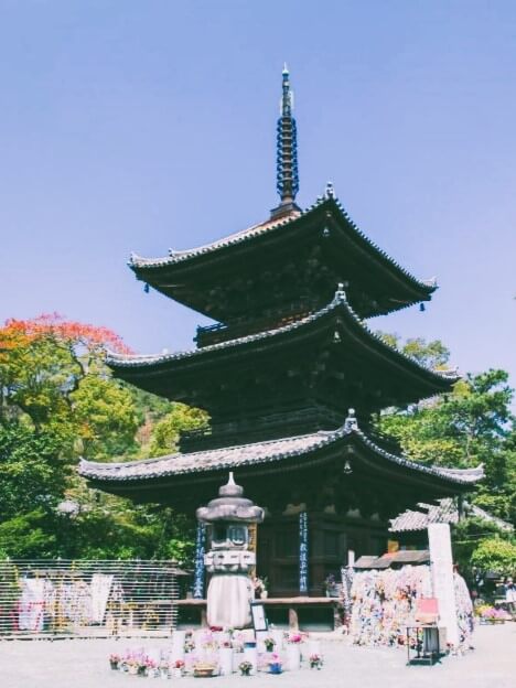 松山行きのフライト